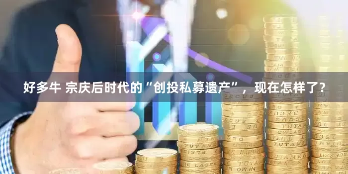 好多牛 宗庆后时代的“创投私募遗产”，现在怎样了？