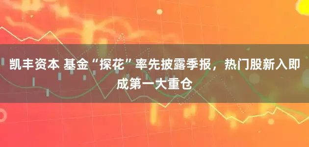 凯丰资本 基金“探花”率先披露季报，热门股新入即成第一大重仓
